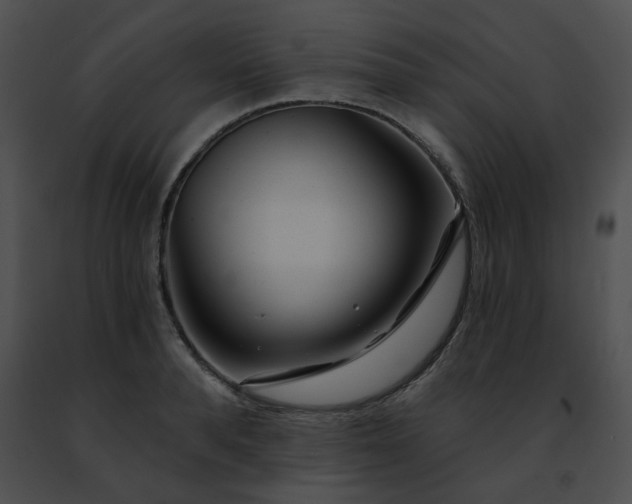 X0000091470896200708301851