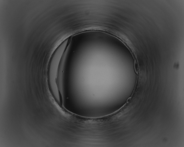 X0000091470898200708301851