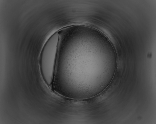 X0000091470899200708301850