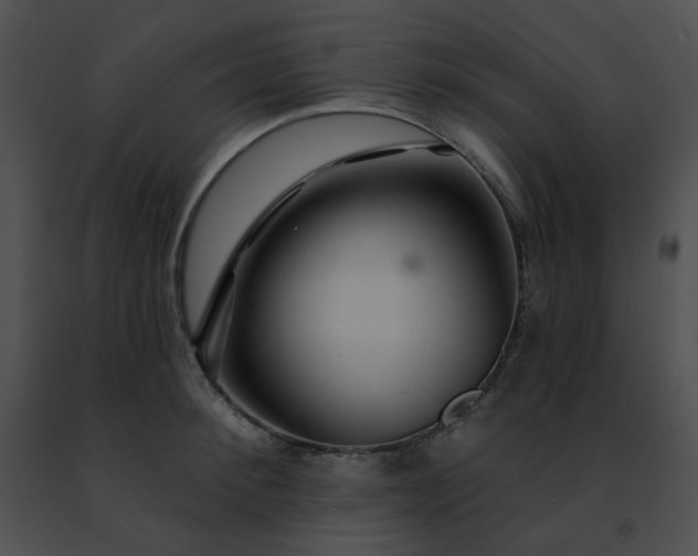 X0000091470900200708301850