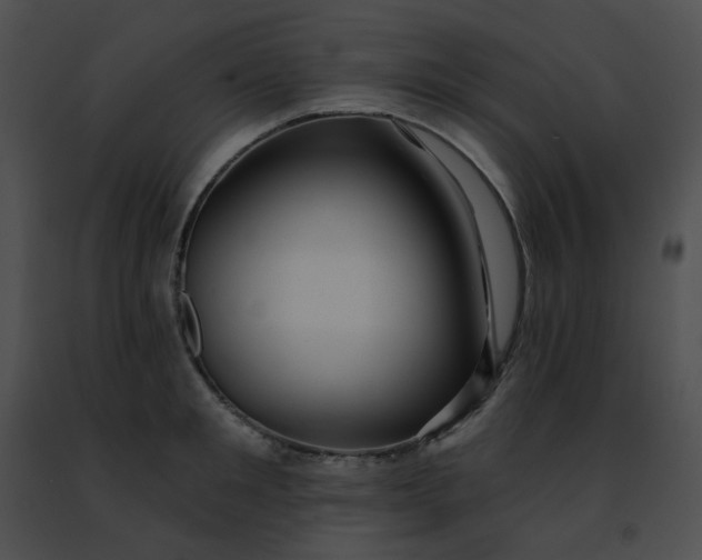 X0000091470901200708301850