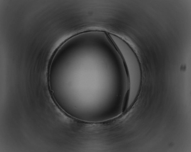 X0000091470902200708301850