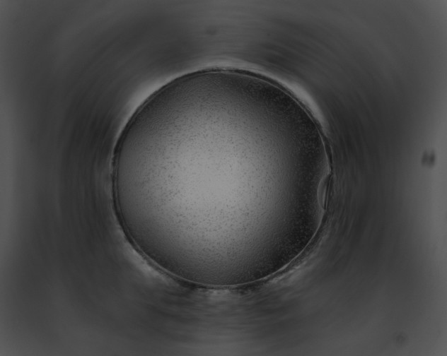 X0000091470903200708301850