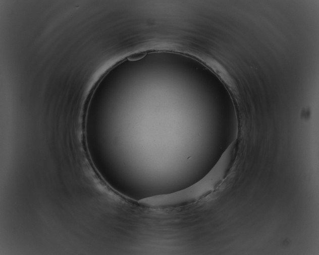 X0000091470904200708301850