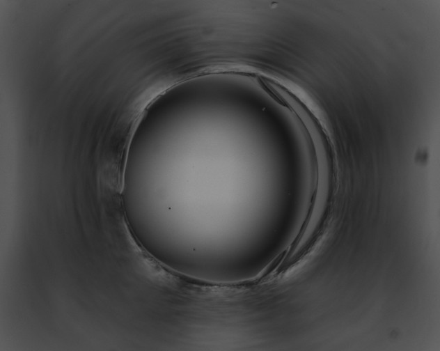 X0000091470905200708301850