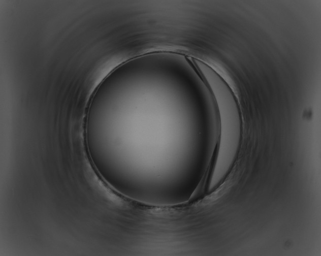 X0000091470906200708301850