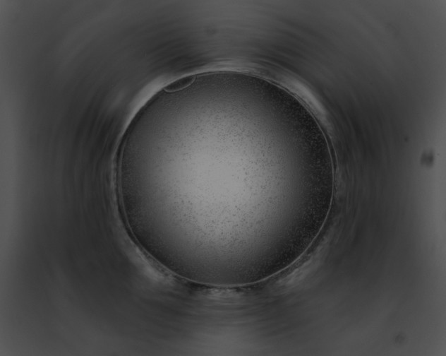 X0000091470907200708301850