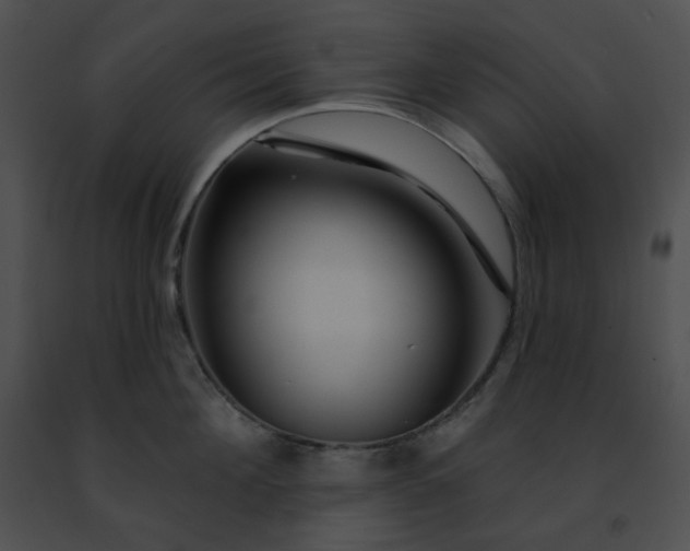 X0000091470908200708301850