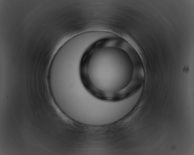 X0000091470909200708301850