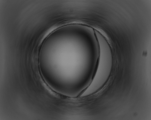 X0000091470910200708301850