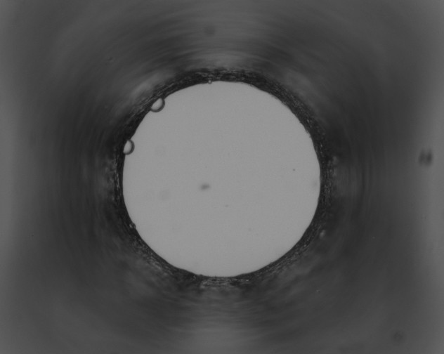 X0000091470918200708301850