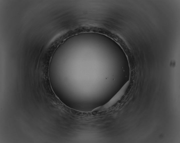 X0000091470919200708301850