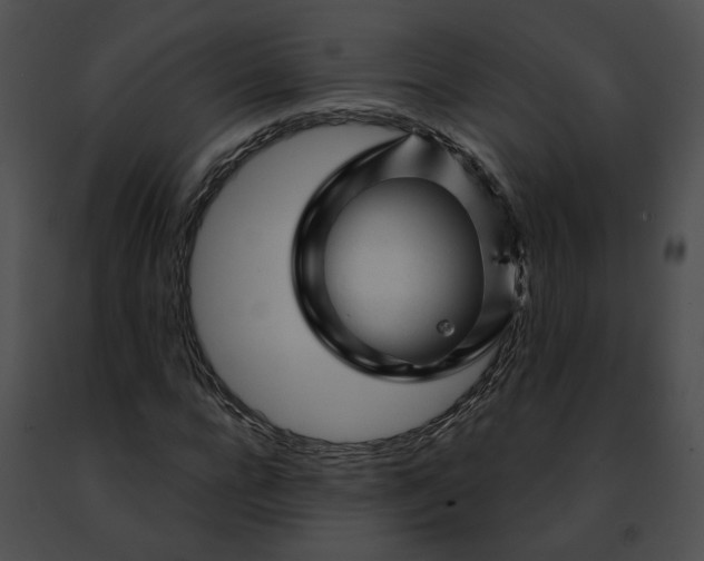 X0000091470920200708301850