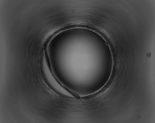 X0000091470922200708301850