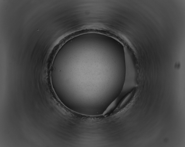 X0000091470923200708301850