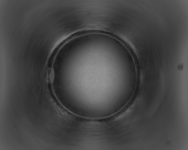 X0000091470925200708301850