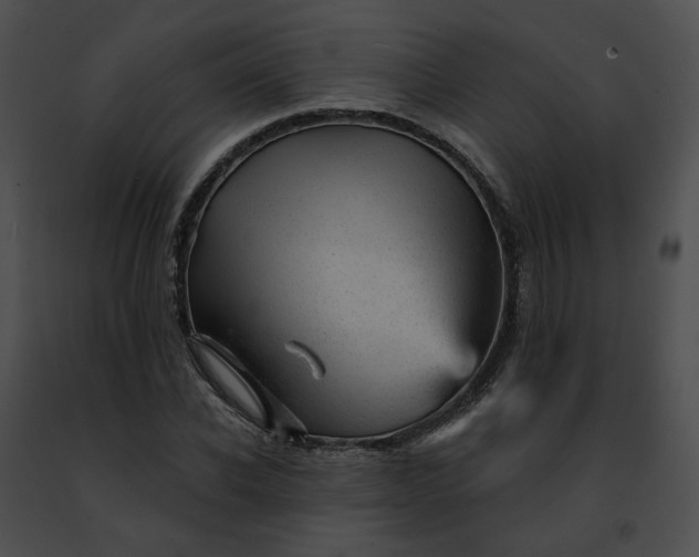 X0000091470926200708301850