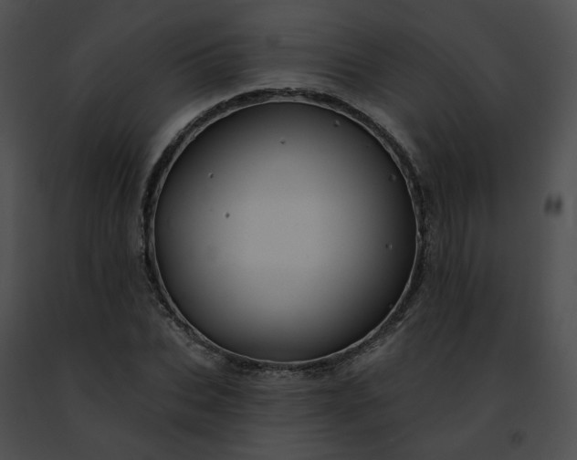 X0000091470927200708301850