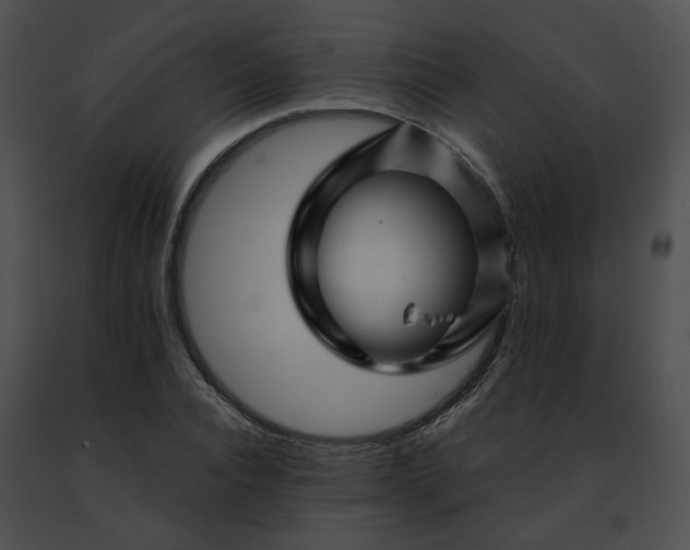 X0000091470928200708301850