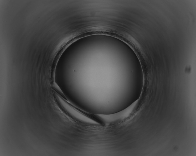 X0000091470930200708301850