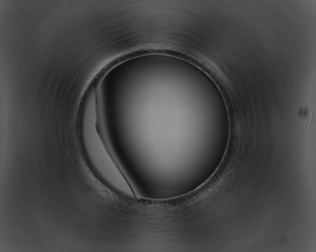 X0000091470934200708301850