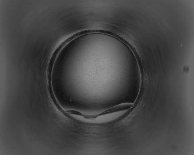 X0000091470935200708301850