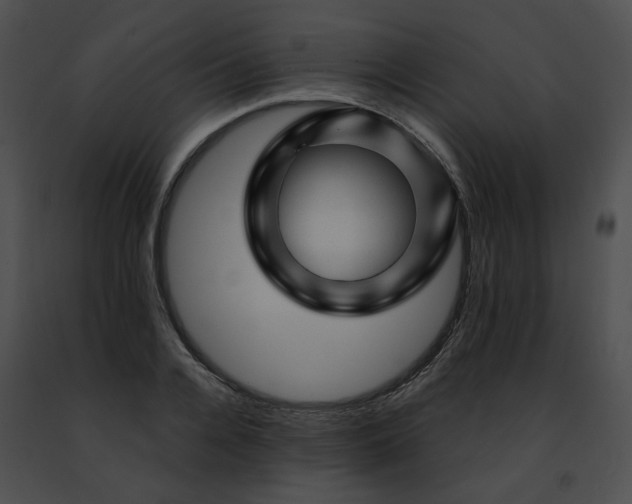 X0000091470936200708301850