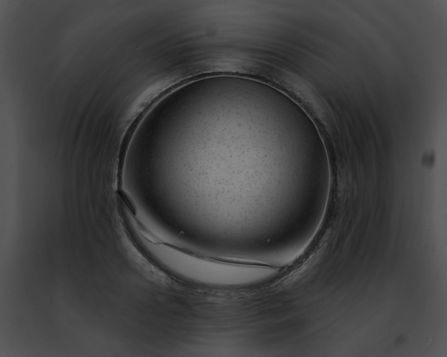 X0000091470938200708301850