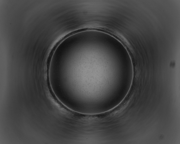 X0000091470939200708301850