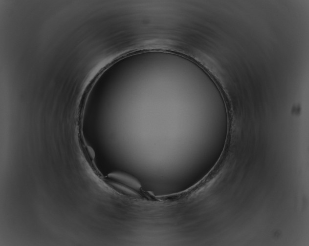 X0000091470941200708301850