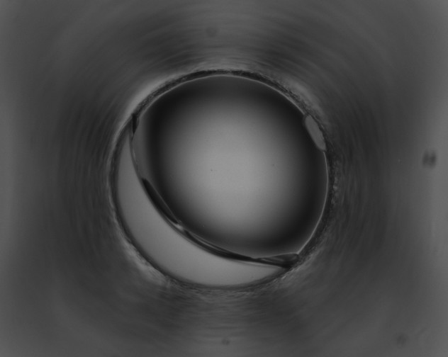 X0000091470942200708301850