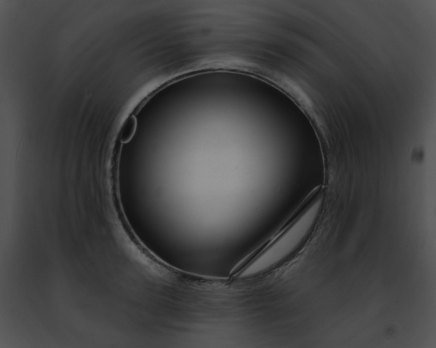 X0000091470947200708301850