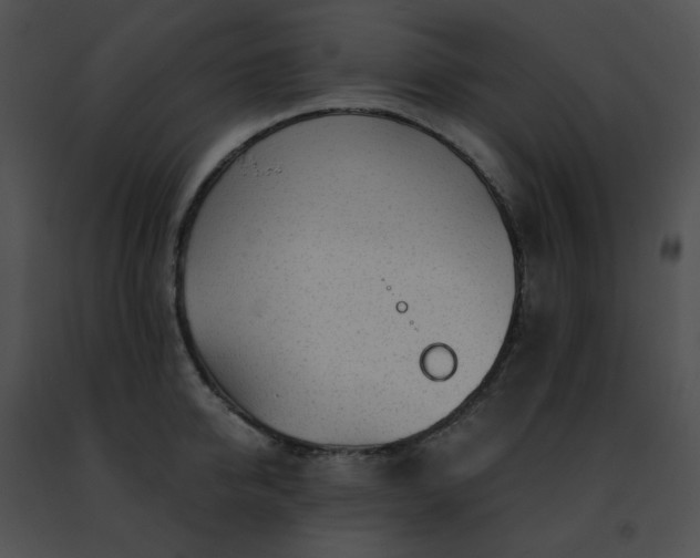 X0000091470950200708301850