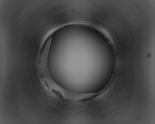 X0000091470952200708301850