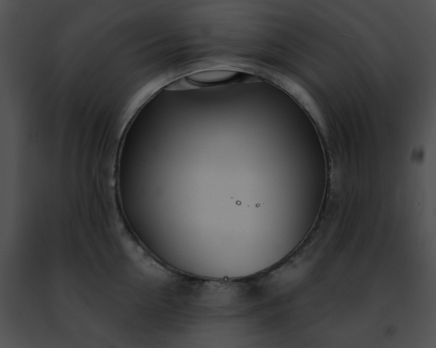 X0000091470954200708301850