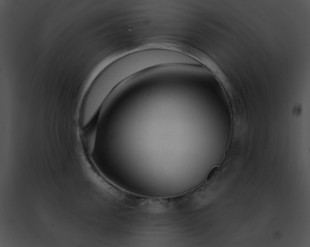 X0000091470955200708301850