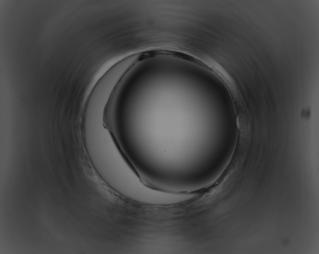 X0000091470956200708301850