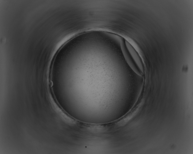 X0000091470957200708301850