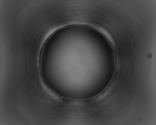 X0000091470958200708301850