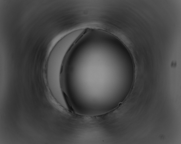 X0000091470960200708301850