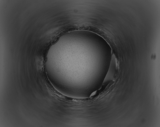 X0000091470963200708301850