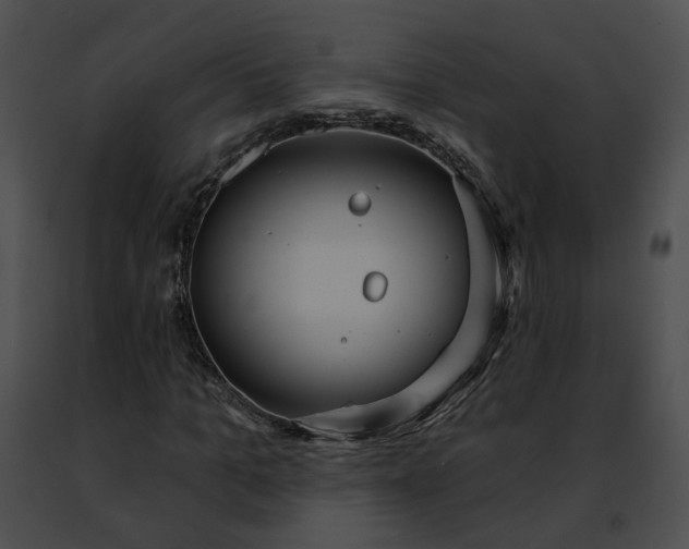 X0000091470965200708301850