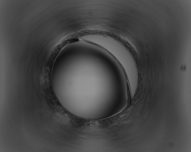 X0000091470968200708301850