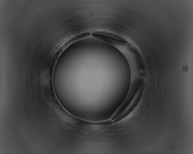 X0000091470969200708301850