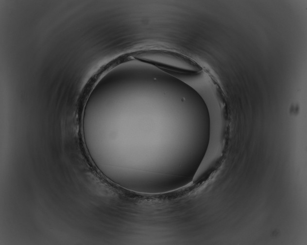 X0000091470973200708301850