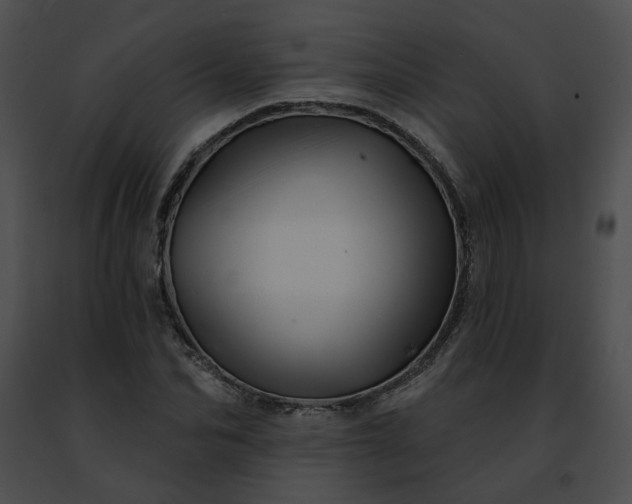 X0000091470974200708301850