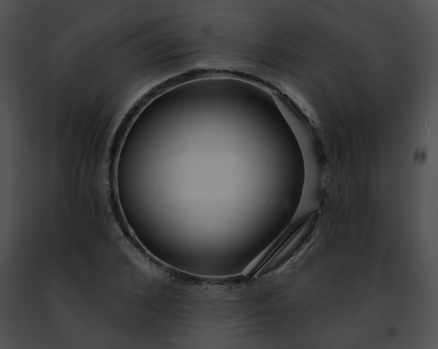 X0000091470976200708301850