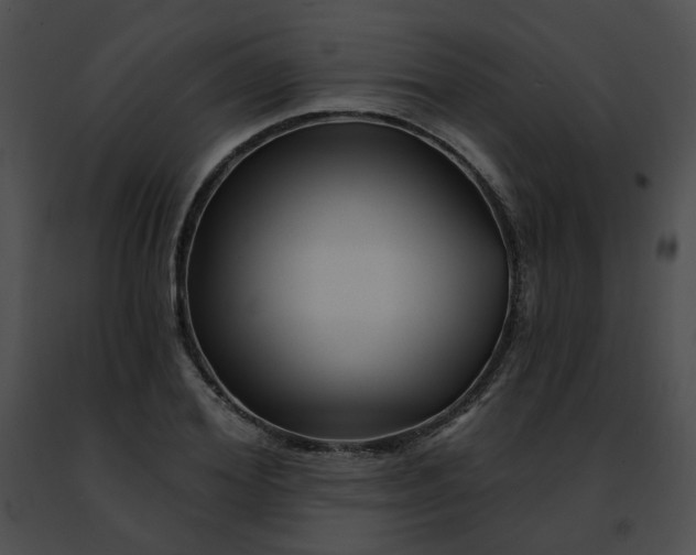 X0000091470980200708301849