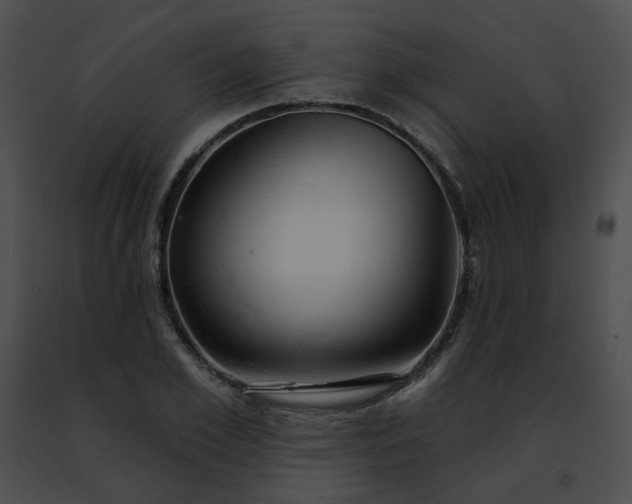 X0000091470981200708301849