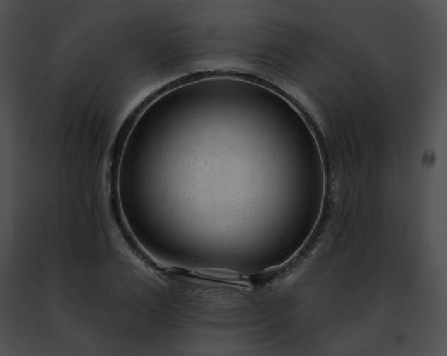 X0000091470983200708301849